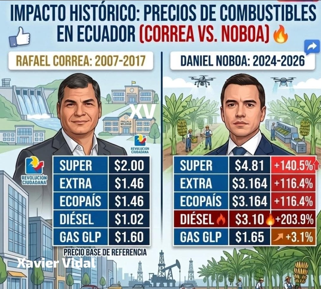 Xavier Vidal 💎 tweet media