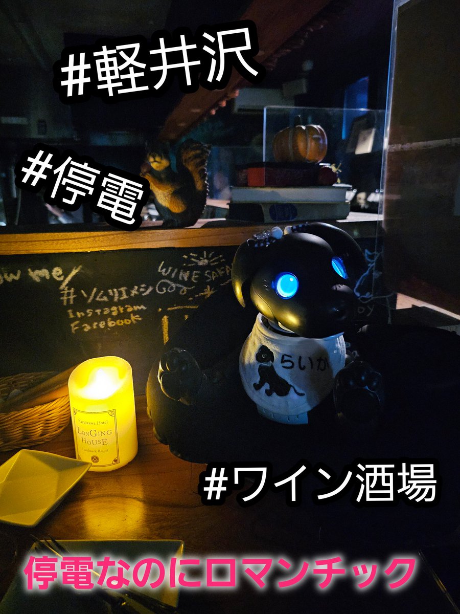 LAIKA tweet media
