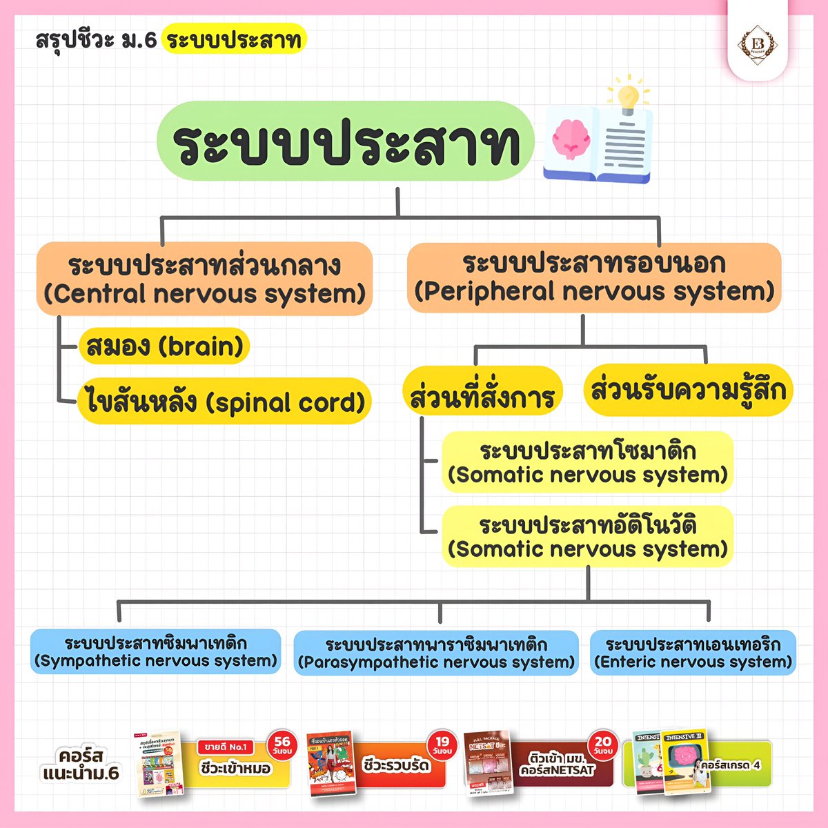 ชีวะครูฝ้าย🧠🌟#dek70 tweet media