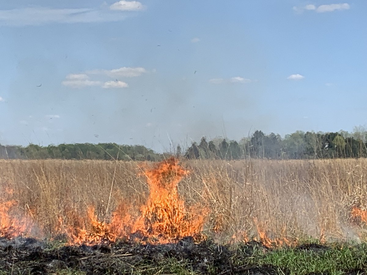 clintoncountymi's tweet photo. NOTICE: Clinton County will conduct a prescribed burn in the grassland at Clinton Lakes County Park.  Weather permitting the burn will be taking place today (Tuesday, May 12, 2026).  This property is near the corner of Colony Road and DeWitt Road in St. Johns. https://t.co/XZyR6zsjCt