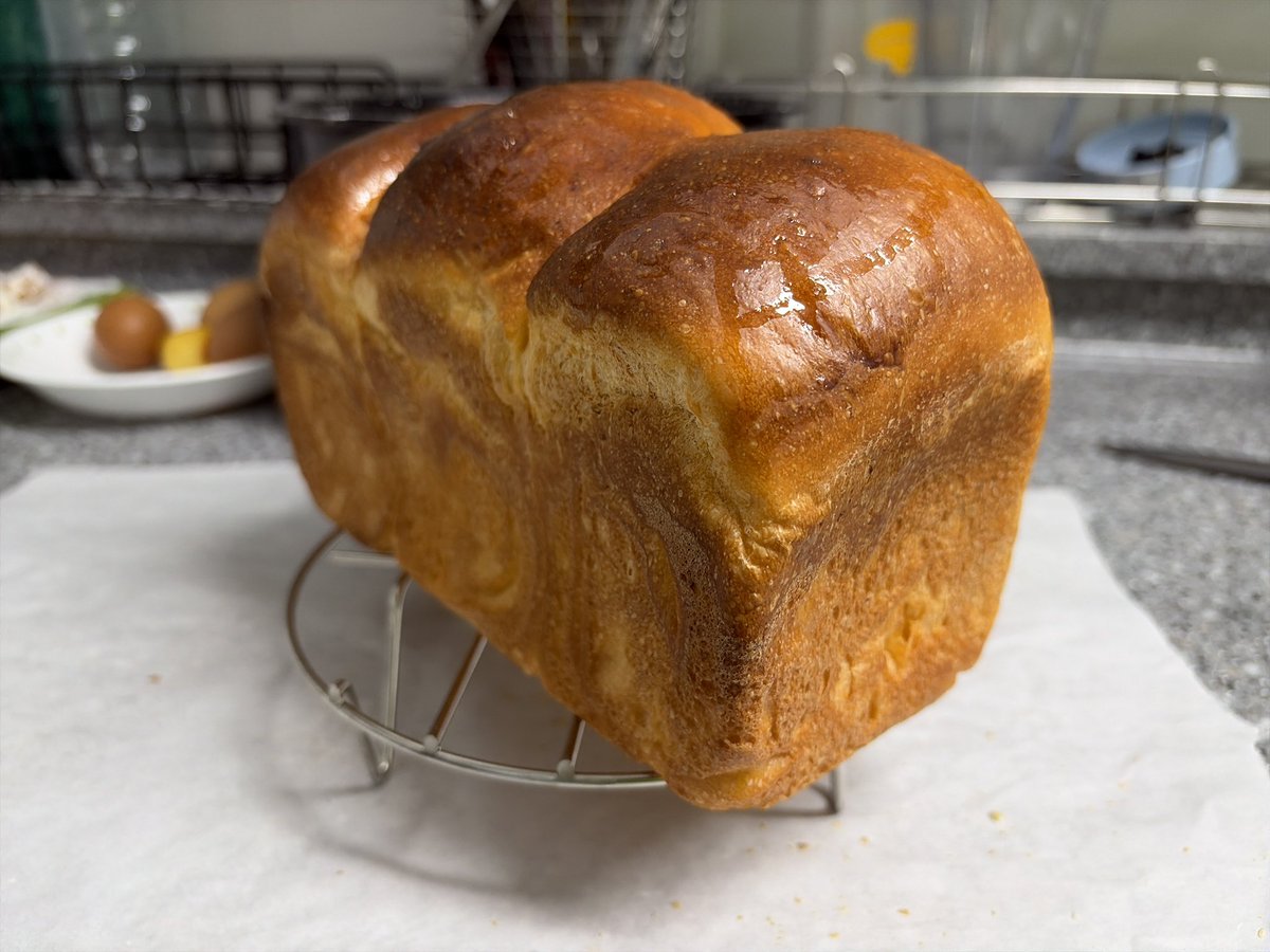 IGNBBYB0Y's tweet photo. #breadtwt js a perfect loaf of breadβ¦π€€ #fat https://t.co/kZv73yvPFM