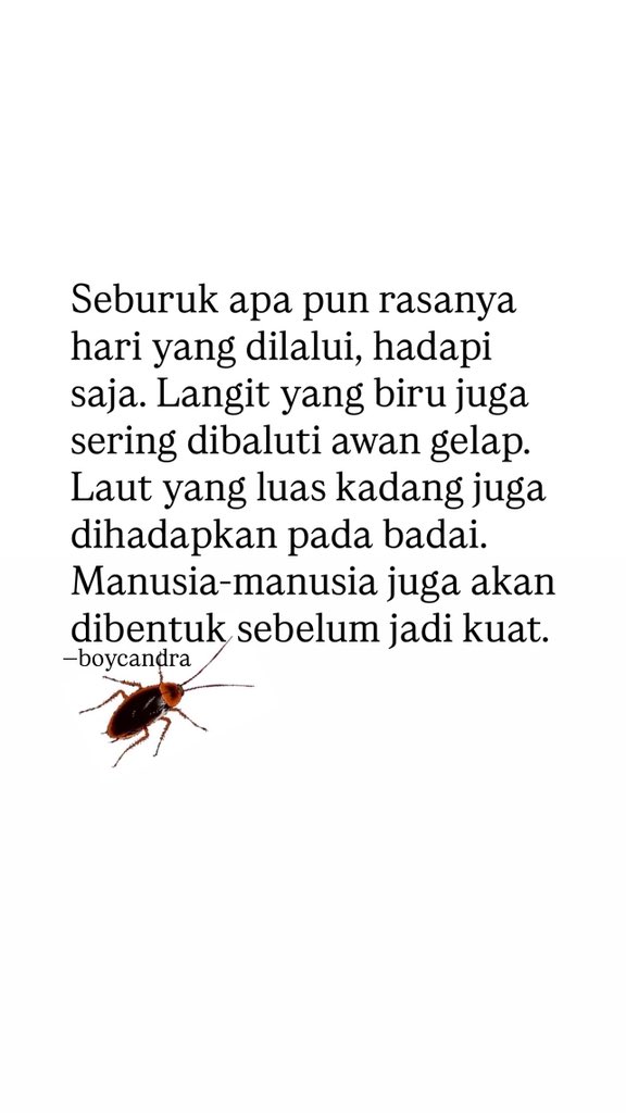 Boy Candra tweet media