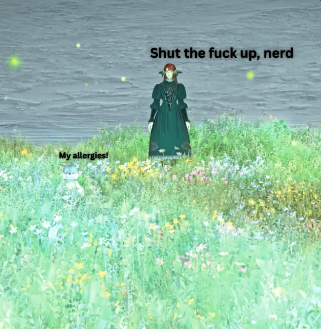 Incorrect Final Fantasy Quotes tweet media