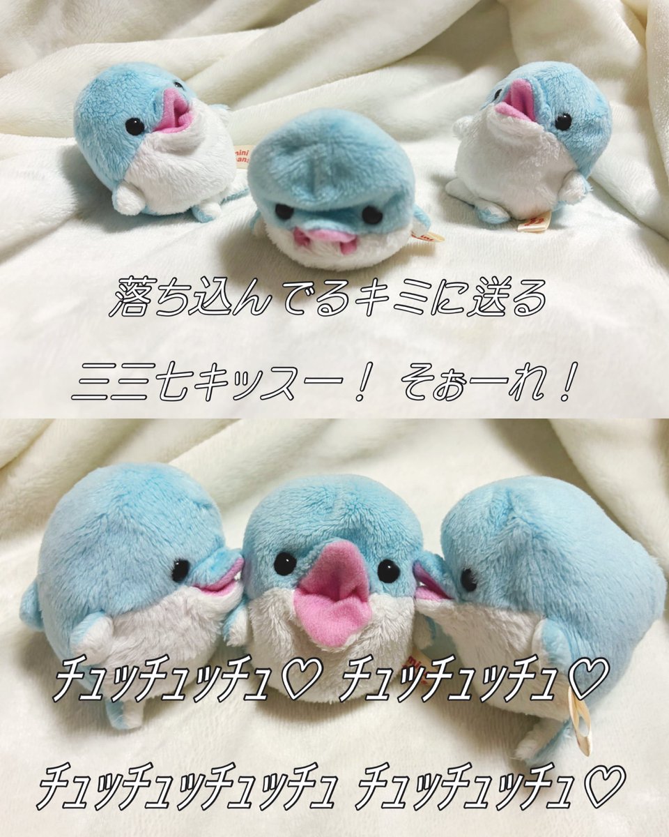 応援！三三七キッス！