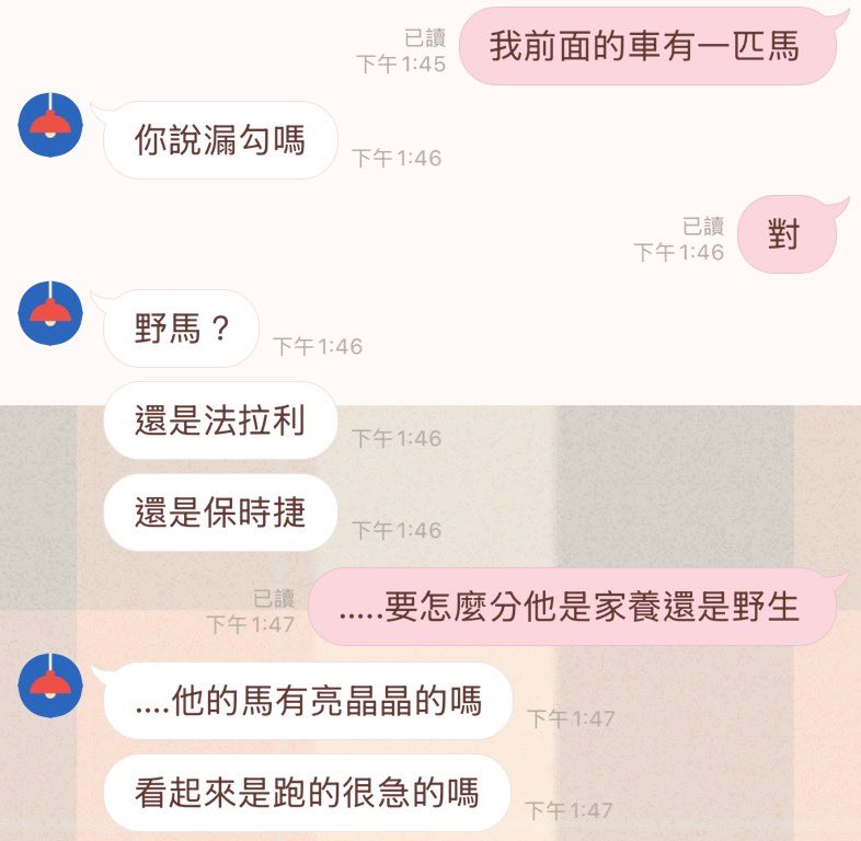 只是一隻熊 tweet media