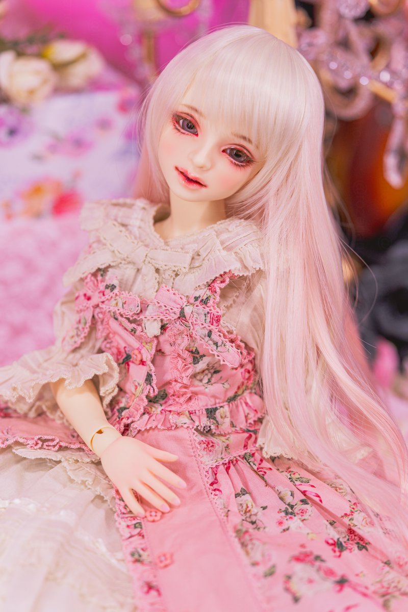 🌹こたつ🌹あのあ🌹 tweet media