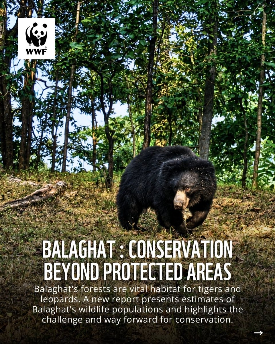 WWF-India tweet media
