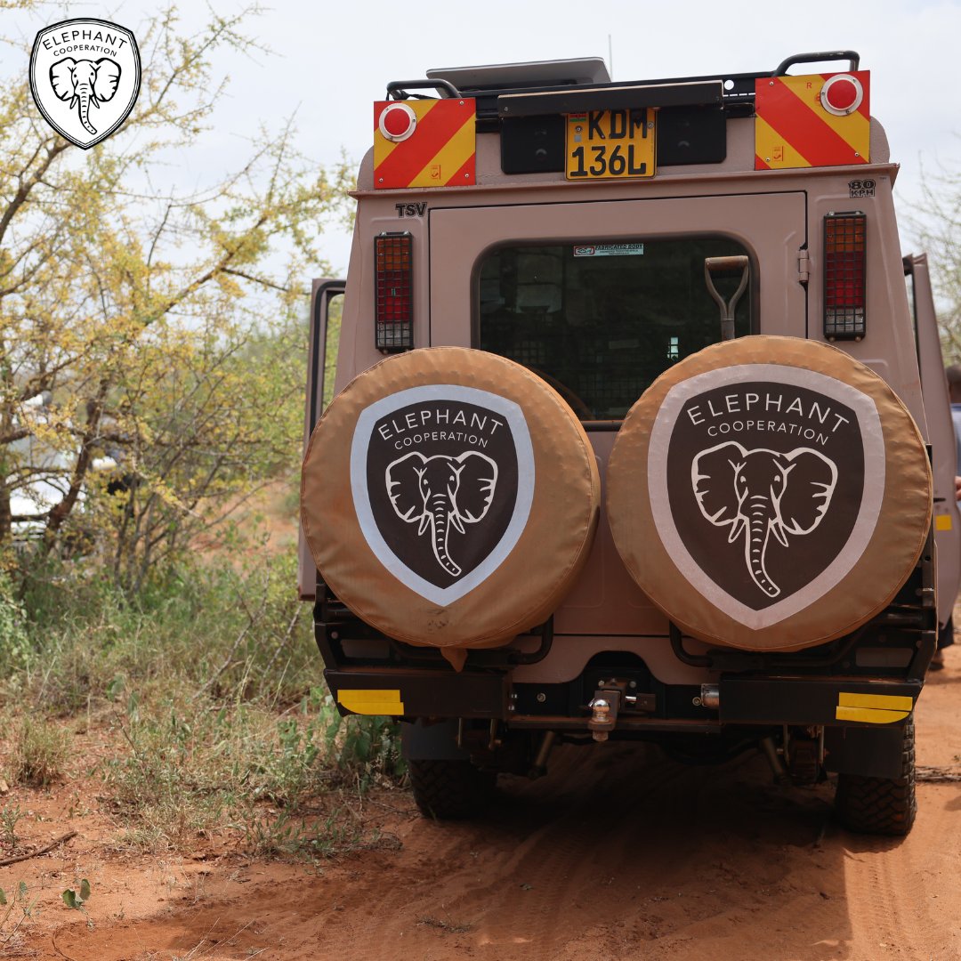 ElephantCoop's tweet photo. Every mile matters. 🐘

Protecting elephants takes presence — reaching the field, supporting teams on the ground, and showing up where conservation matters most.

#ElephantCooperation #ElephantConservation #ProtectElephants https://t.co/yr4h77dzQ0