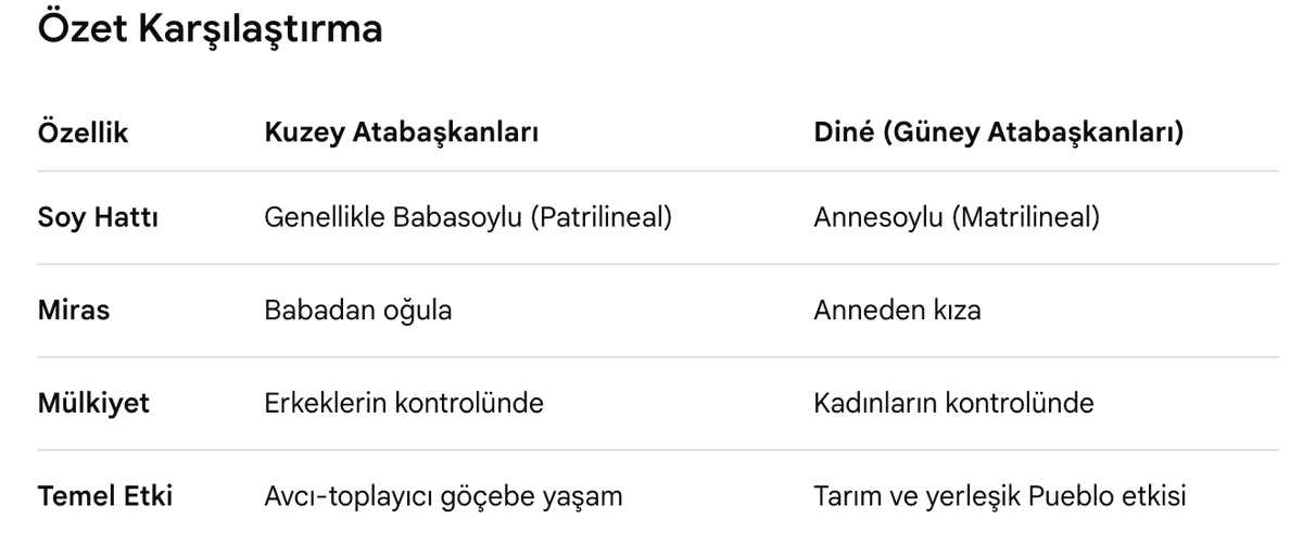 Cemil Şinasi Türün Jetwell.eth tweet media