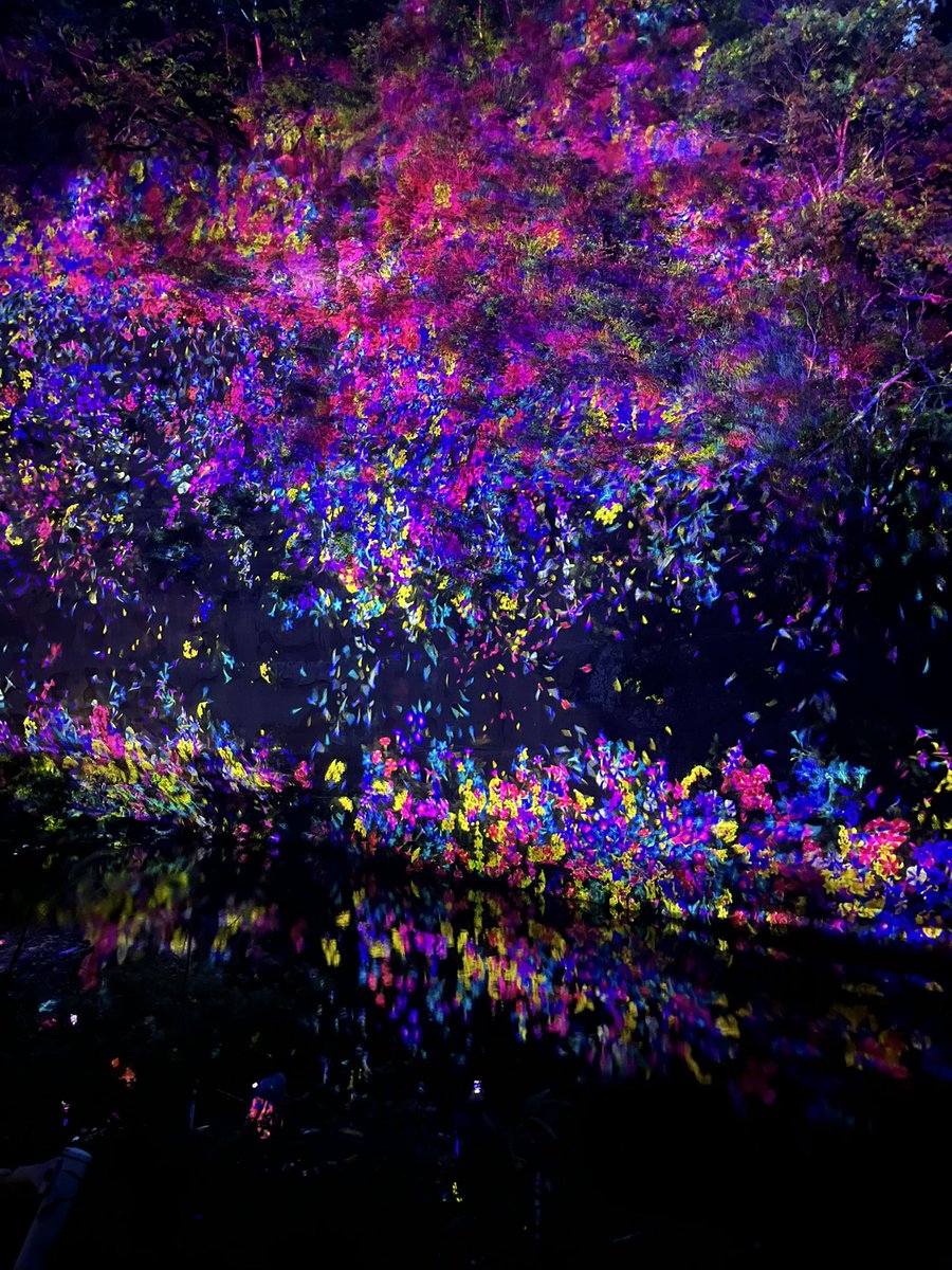 rin_s285's tweet photo. 養老渓谷でチームラボのライトアップ中だったので、おさんぽしてきた♪ https://t.co/wysFu0H37A
