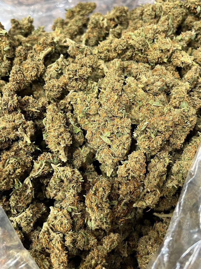 Bud Bloom🌿 tweet media