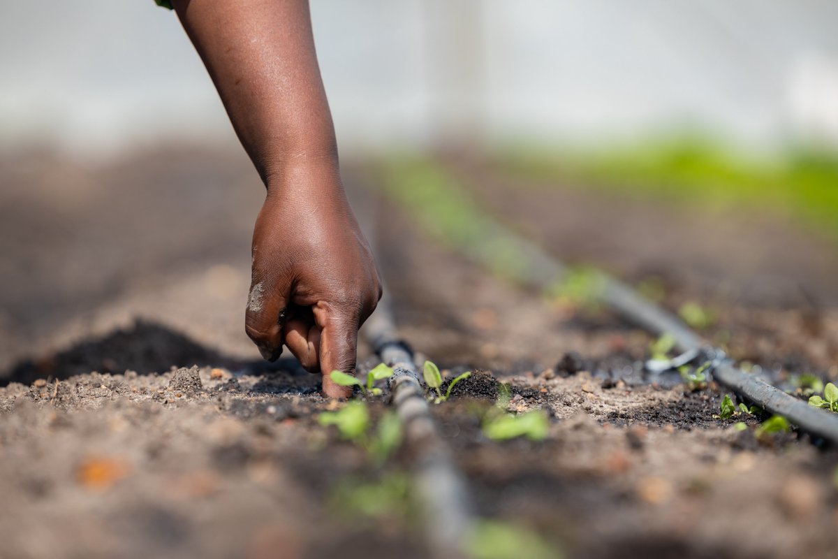 Oxfam in Africa tweet media