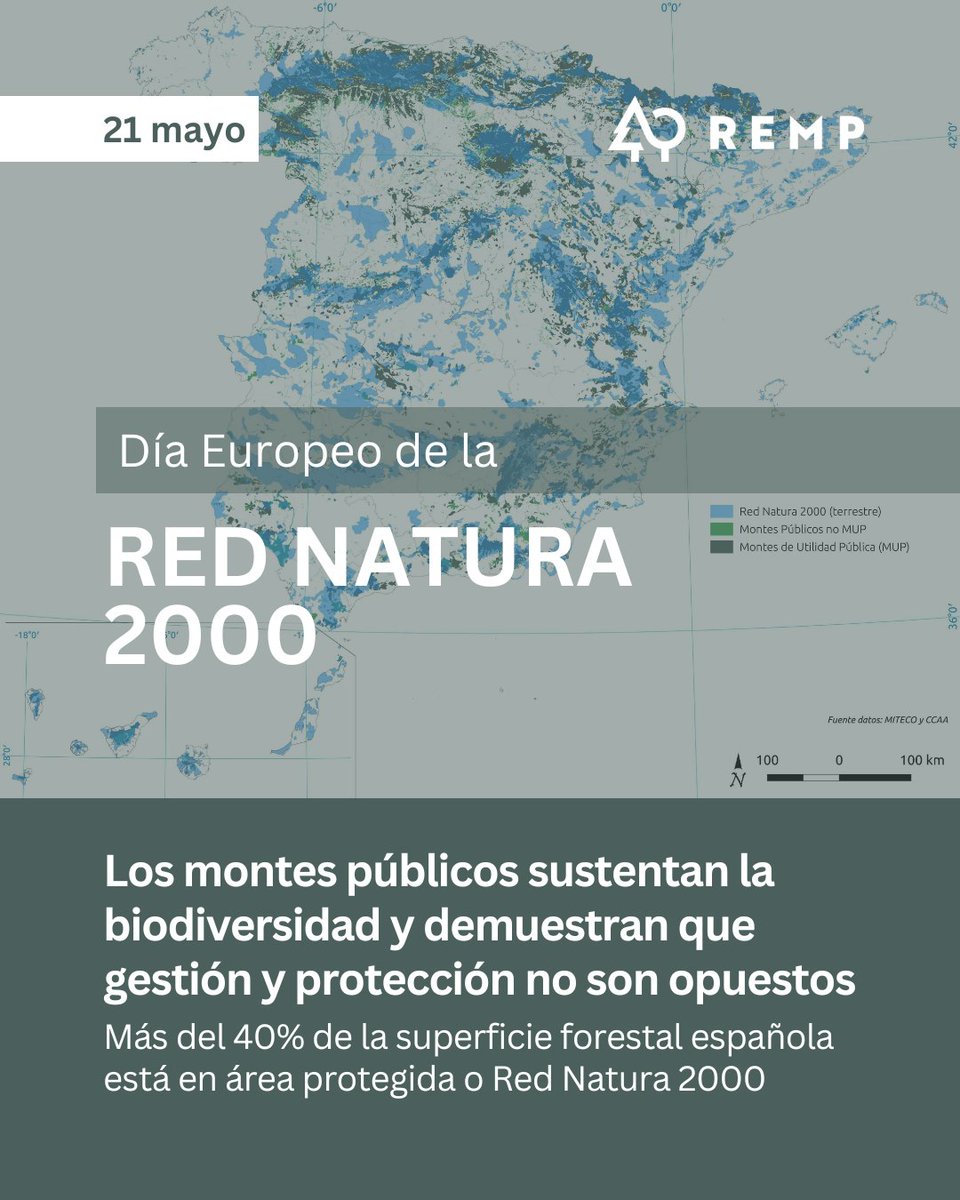 Red Estatal de Montes Públicos (REMP) tweet media