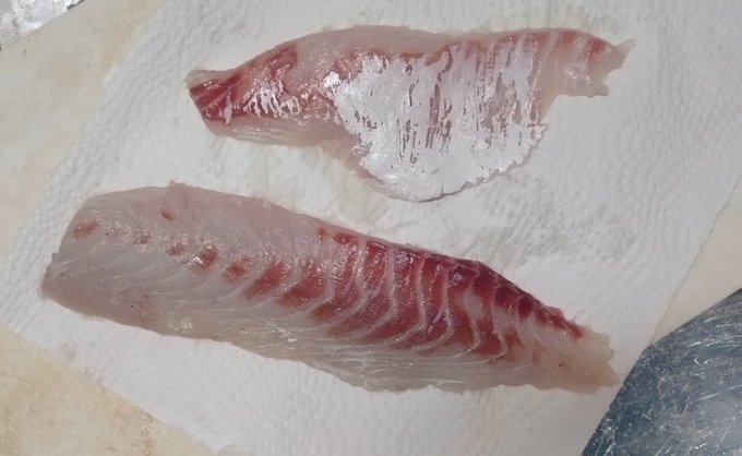 ほぼ鯛やね 