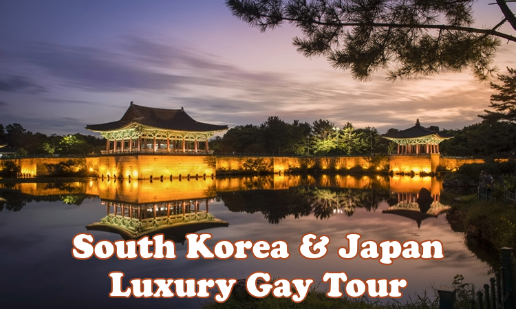 AdonisHoliday's tweet photo. South Korea &amp; Japan Luxury Gay Tour 
https://t.co/8p9Nf33xMs

Get ready to embark on a journey of a lifetime through South Korea and Japan! Over 12 unforgettable days, we’ll explore vibrant cities, serene temples, bustling markets, and cultural wonders, all while sharing the exp https://t.co/Y9qXKeUZUL