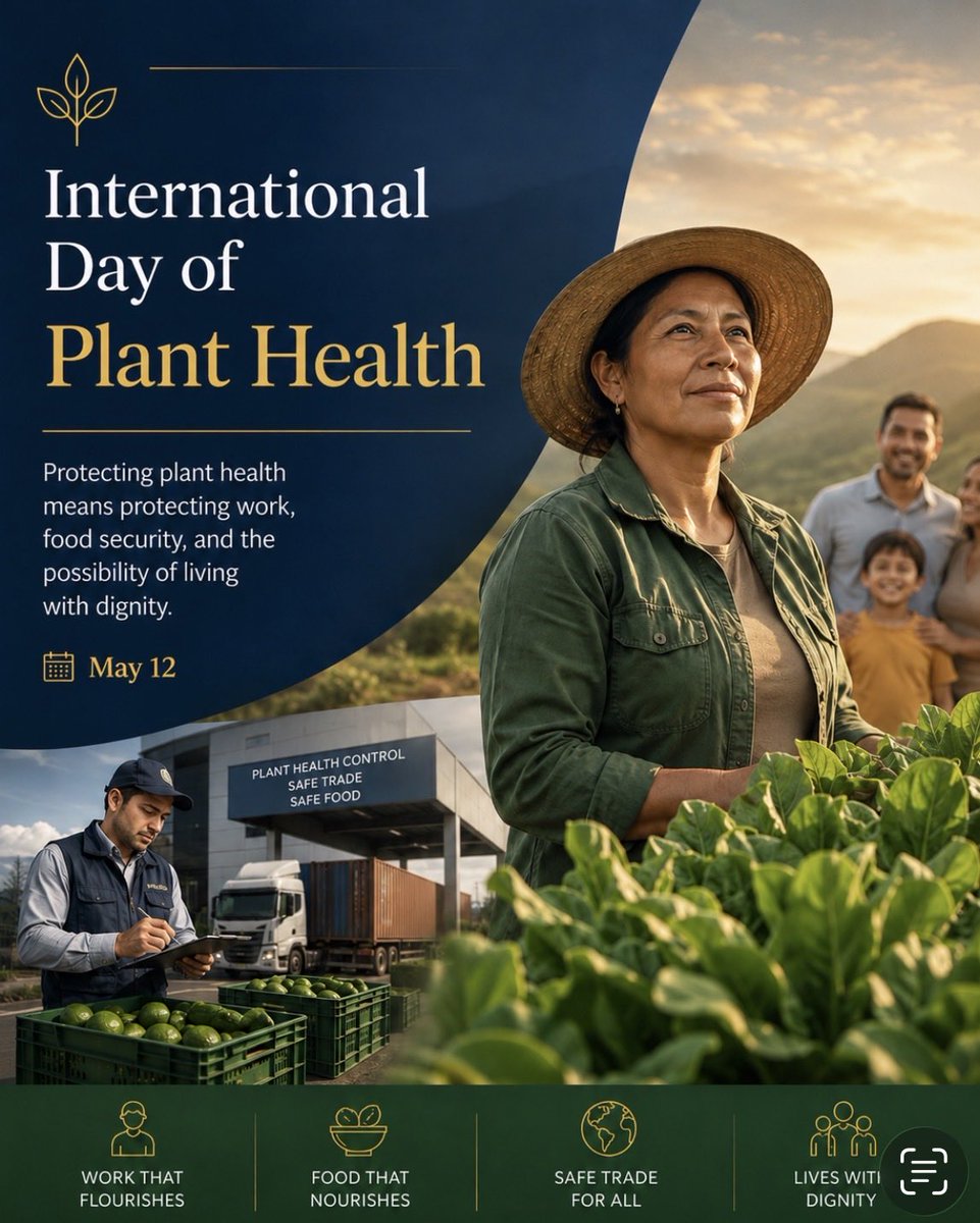 jmsanchez1977's tweet photo. On the International Day of Plant Health, let us remember that protecting plants means protecting far more than crops: it means safeguarding work, food, safe trade, and the possibility of living with dignity.

#PlantHealth #FoodSecurity #Trade #Agriculture  AI-generated image https://t.co/rcliIo9KiO