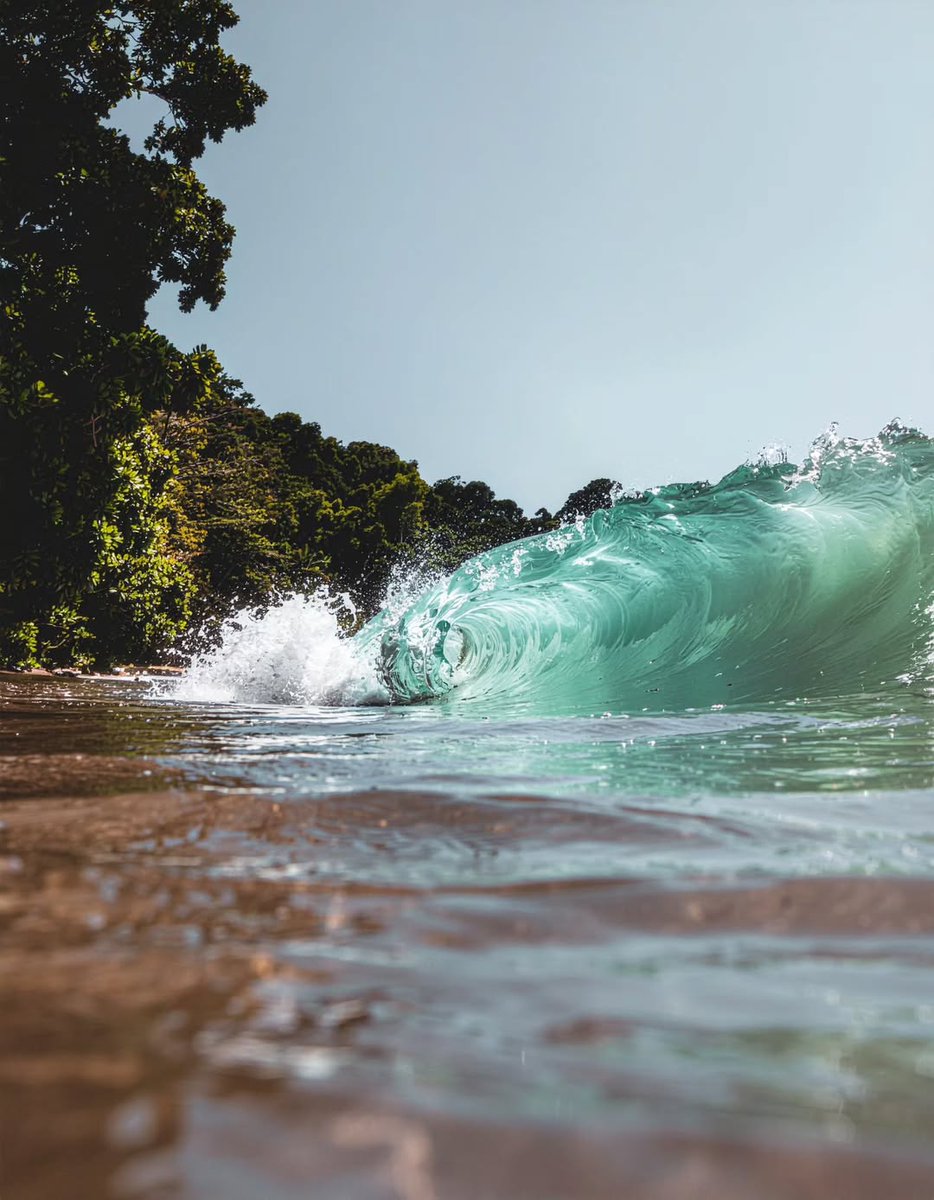 gillescolibri's tweet photo. Costa Rica 🇨🇷 https://t.co/Lzb5o8Kch0