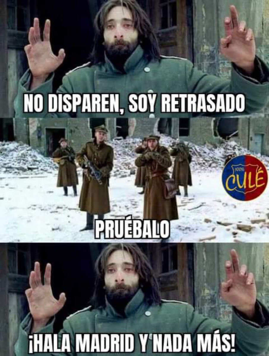 SergiKoala tweet media