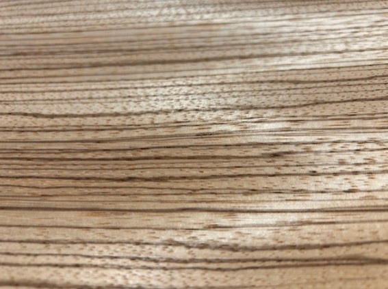 JSO_Wood's tweet photo. Out of the Wild!
It's Tigerwood!
https://t.co/EiT7TU8B1W https://t.co/oQy9mPn5Aw