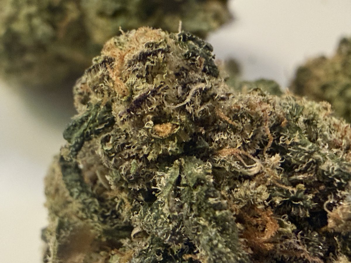 Cannabis and Coffee Live tweet media