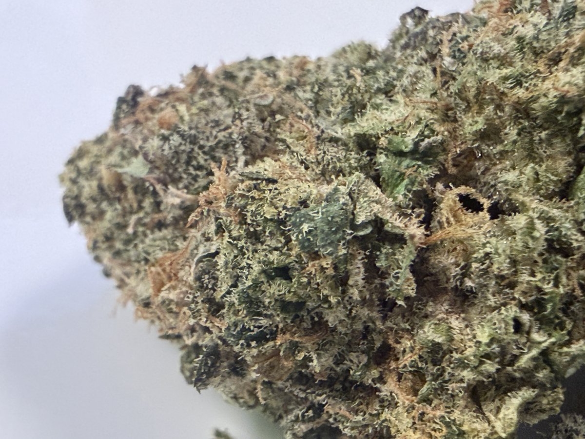Cannabis and Coffee Live tweet media