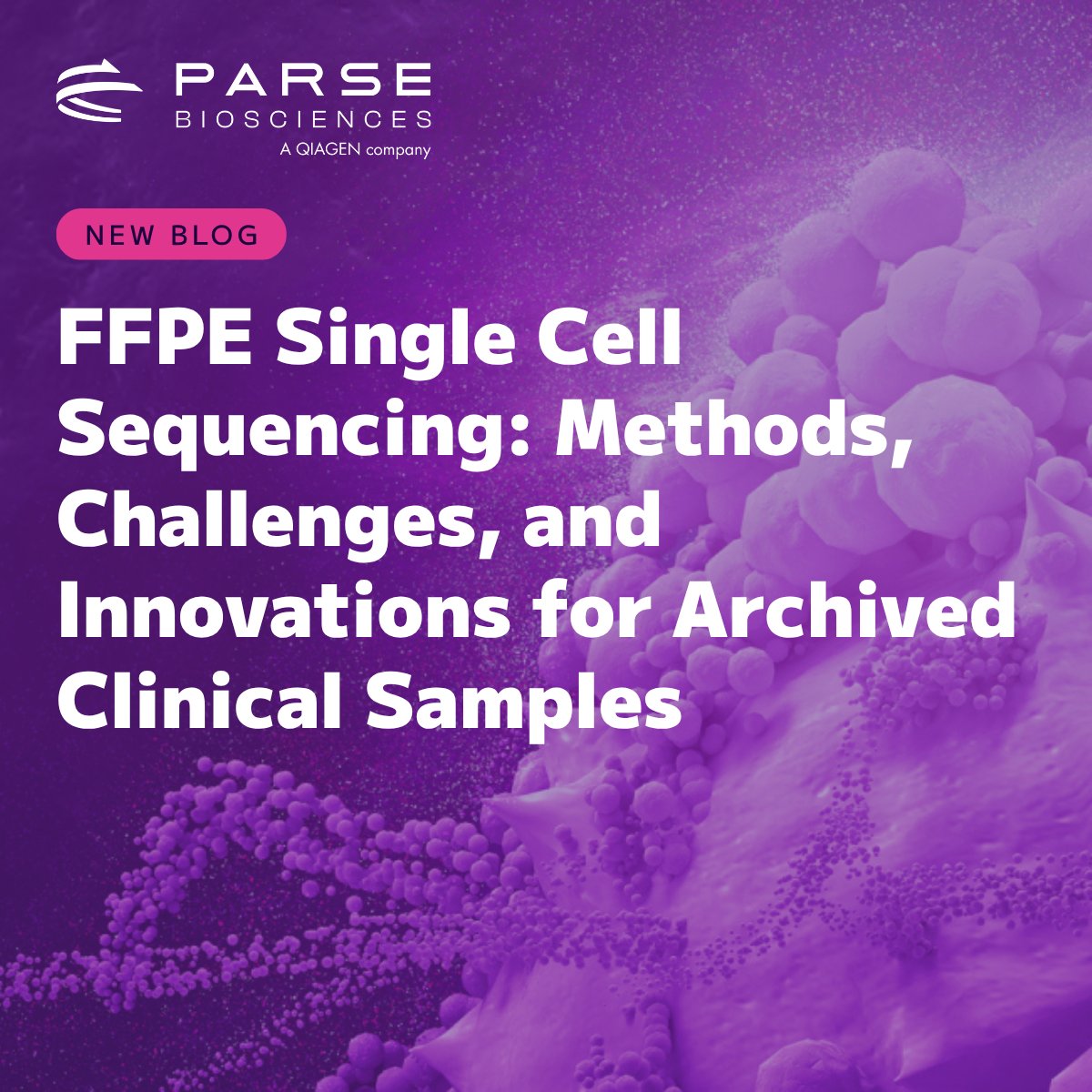 Parse Biosciences tweet media