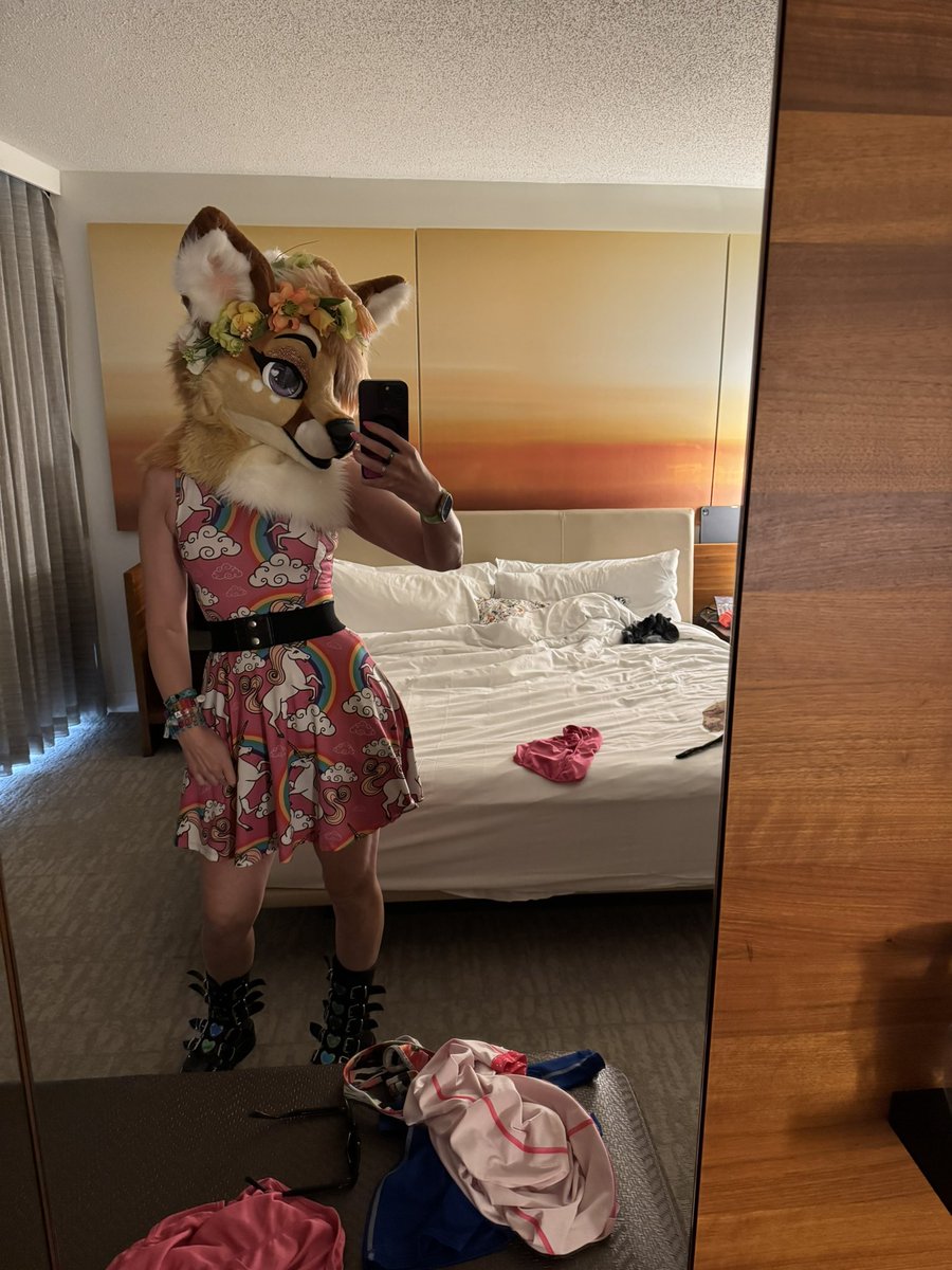 Splat Fennec 🔜 AC tweet media