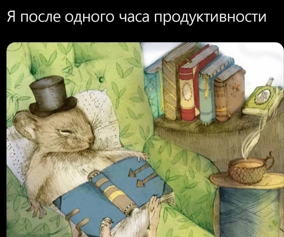 Сейт tweet media