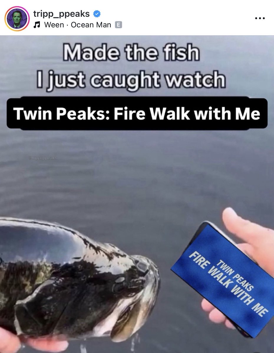 David Lynch's Worlds tweet media