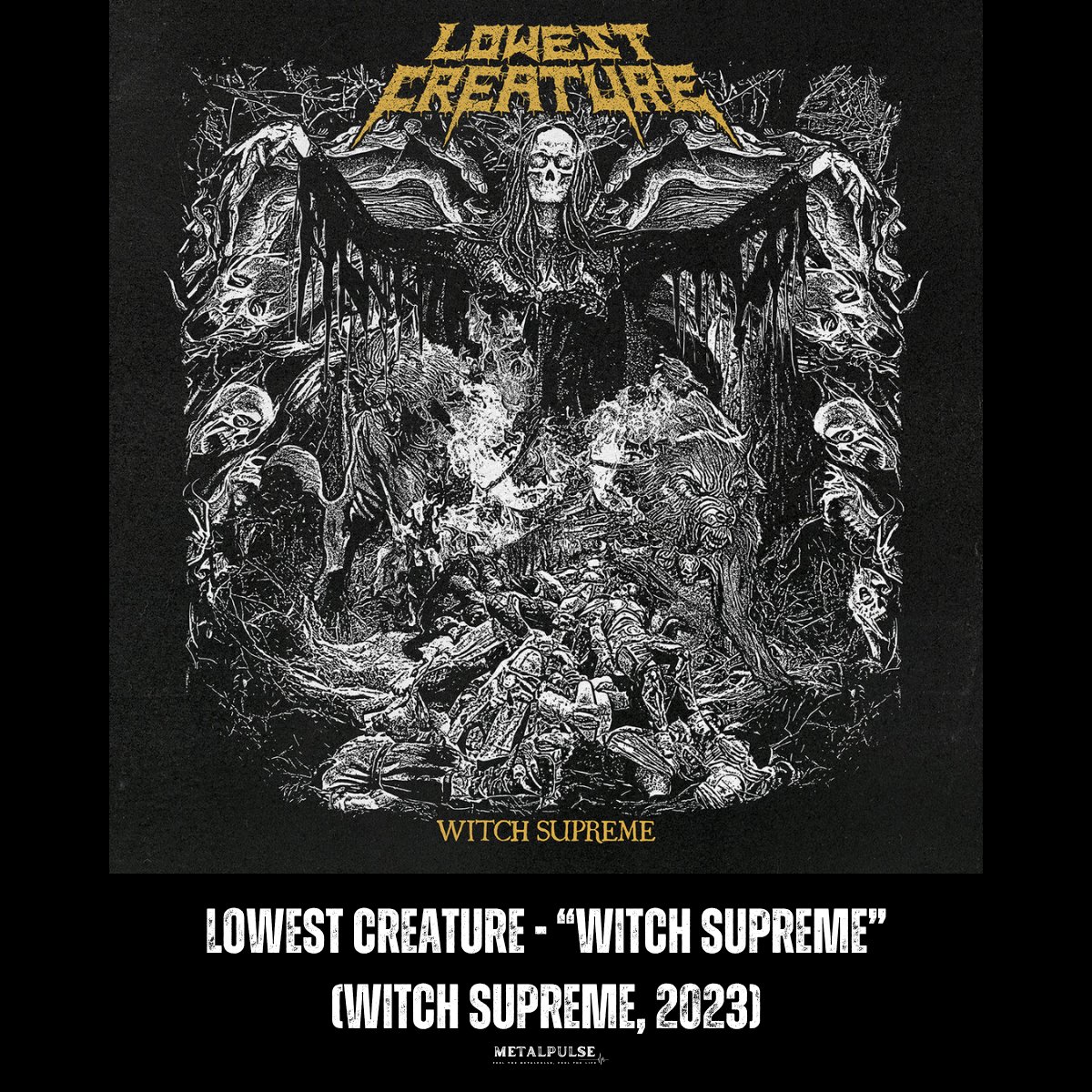 TheMetalPulse's tweet photo. In the middle of the song you seriously wonder whether a demon is playing or just the singer screaming his voice out. Both are clear. 🔥 🤘
👉 https://t.co/qKaLQBaRJj
#metalpulse #lowestcreature #thrashmetal https://t.co/UEz80AED2M