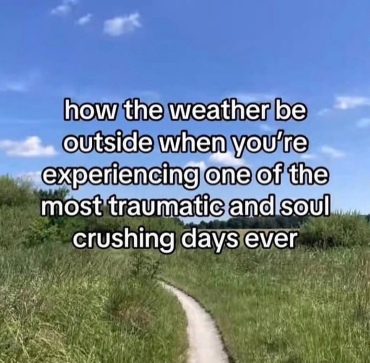 Respectful Memes tweet media