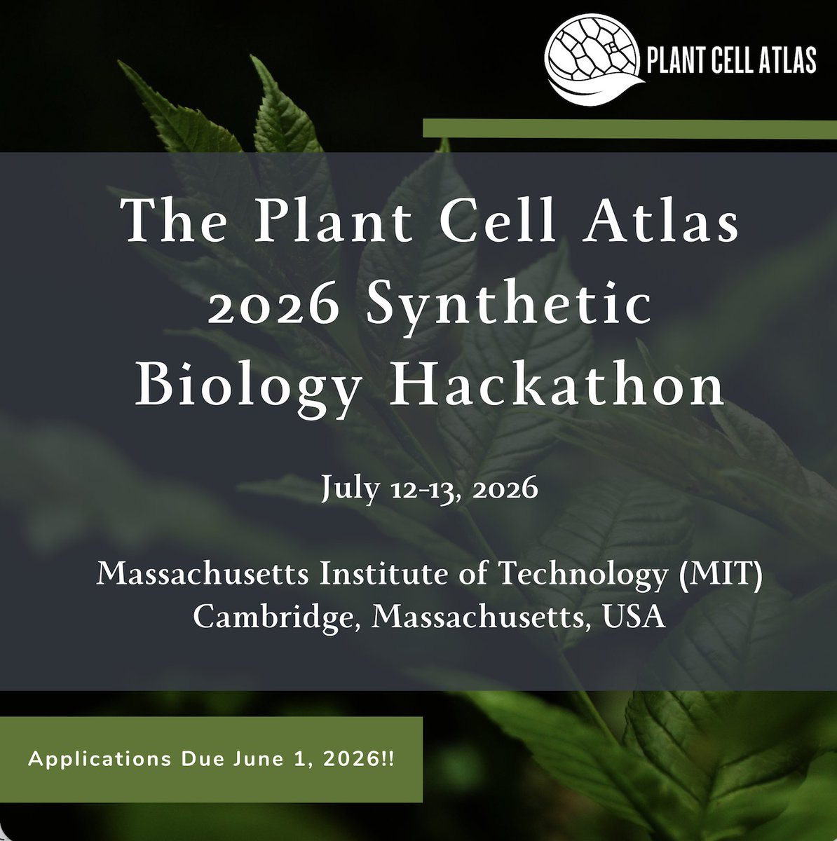 PlantCellAtlas.bsky.social tweet media