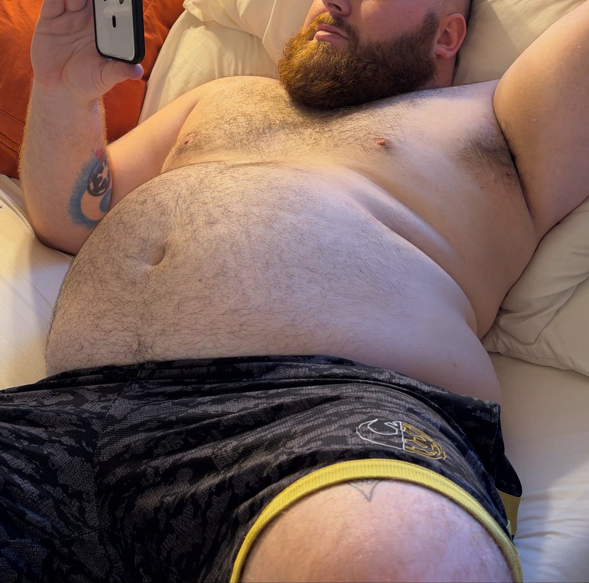 KodyBear tweet media