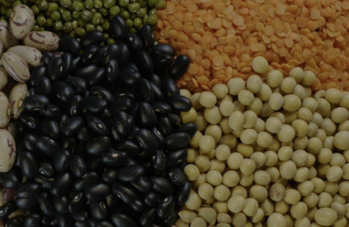 GAFSPfund's tweet photo. In 🇧🇩 Bangladesh's DRAIFNS project, GAFSP is providing $20 million to support farmers in 3 climate hotspots, diversifying crops and improving market access 🌿

https://t.co/7ked1gtqyZ https://t.co/gPQ8sjfpd4