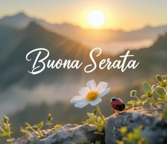 Monica 🍀⚘️🌍📚🐞🎧 tweet media