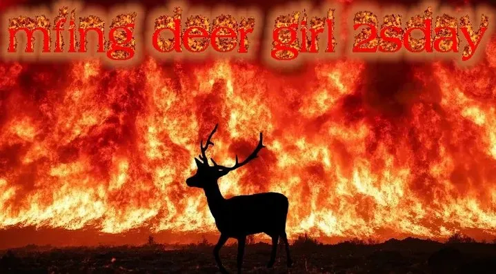mfing deer girl 2sday tweet media