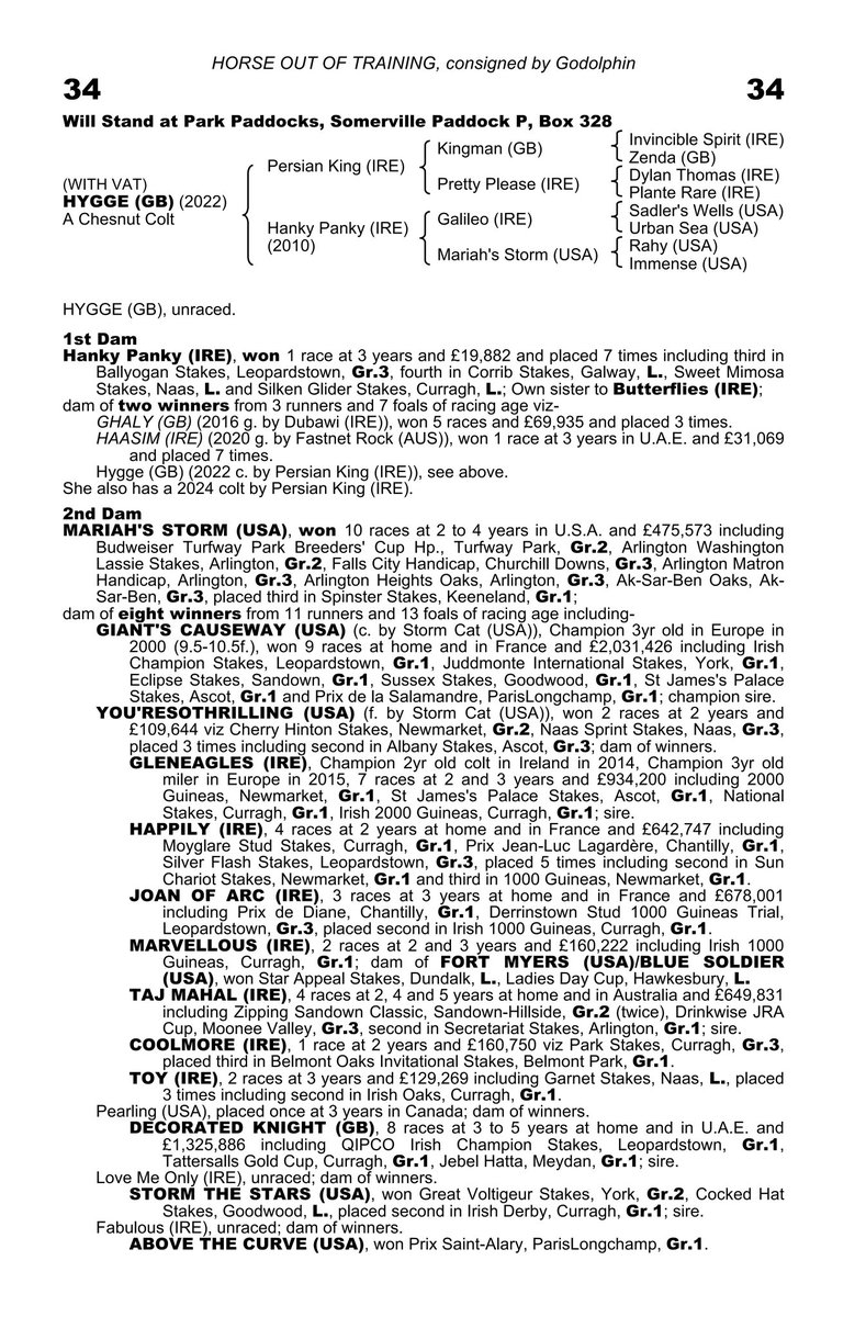 BleuBallymore's tweet photo. 🥂 Winner for PERSIAN KING 👑

🏆 HYGGE, 4yo gelding by @Haras_d_Etreham PERSIAN KING from HANKY PANKY, wins his maiden at @KillarneyRaces for his 1st start on the flat after four places over hurdles, trained by @gelliott_racing

🗣 Purchased by @TedDurcan at @Tattersalls1766 https://t.co/7qKAGiaqyP