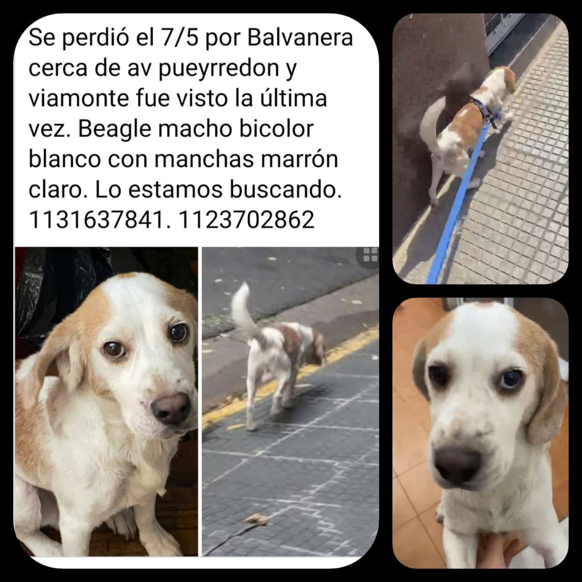 Veruska Hernández tweet media