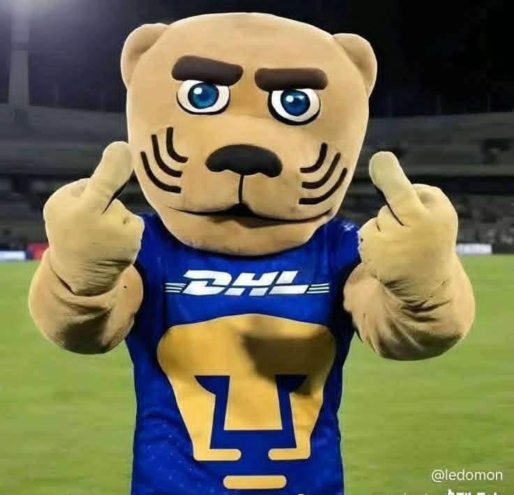 Víctor Hugo Ramírez tweet media