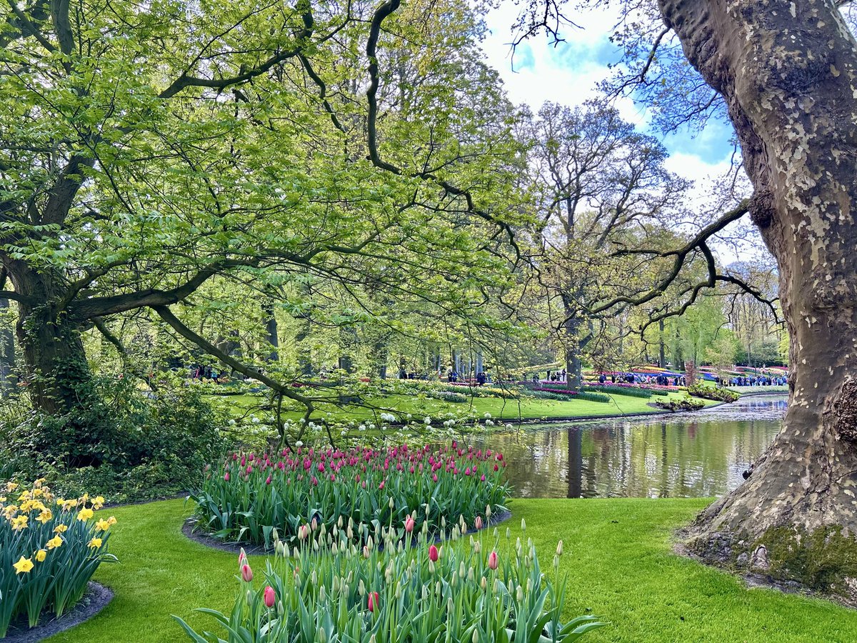 GraceLyAuthor's tweet photo. Spring is here! https://t.co/gq2AalaLRd