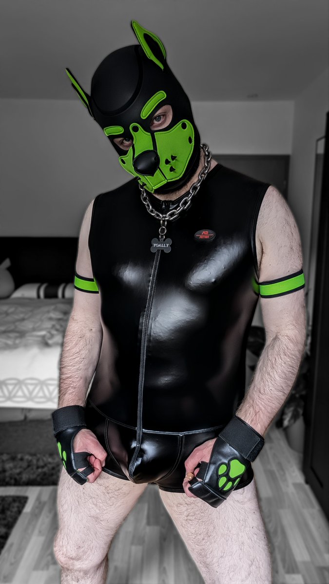 Puppy_Yoally tweet media