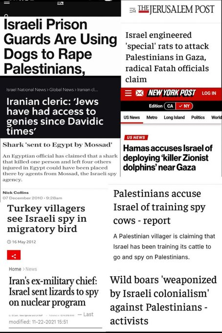 Israel Truth Network tweet media
