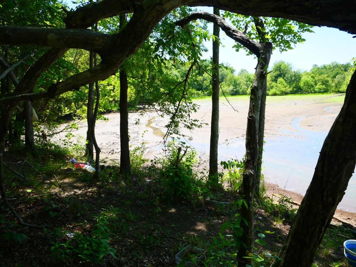 tannerquicksand's tweet photo. Paradise mud pit. 7/10
Paradise mud pit privacy. 9/10
I'd put this in A tier.
Pro's
Creamy 
public parking
peaceful
you can take your clothes off
Take as many friends as you want.
possible to have sex in just be aware of your surroundings
cons
waist deep
abandoned/unabandoned homeless encampment just be careful and watch your step
need to wear footwear cause poky thingy's uwu
kinda loud with the highway nearby
You can only take your clothes off in the back area but it might be a little daring for a beginner still
clean up is so shallow I can squat down and my balls don't even touch the water.