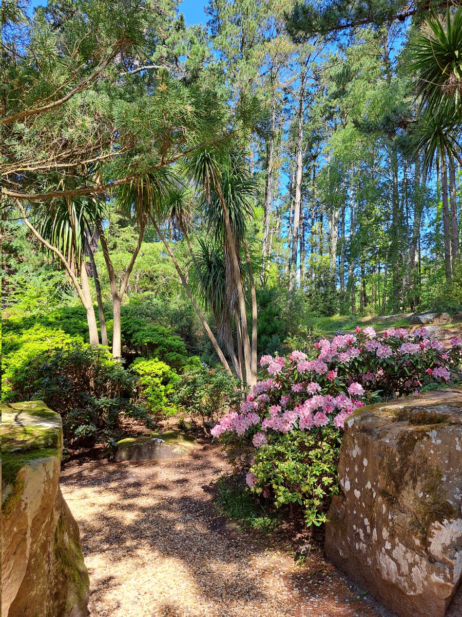amcbear's tweet photo. Spring has sprung ❤️ https://t.co/184prsoL0A