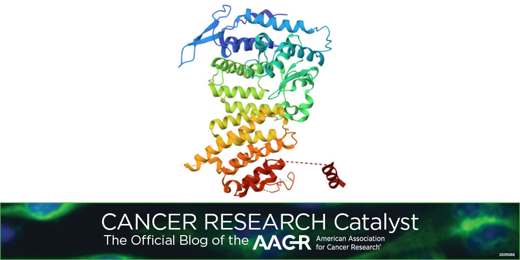 AACR tweet media