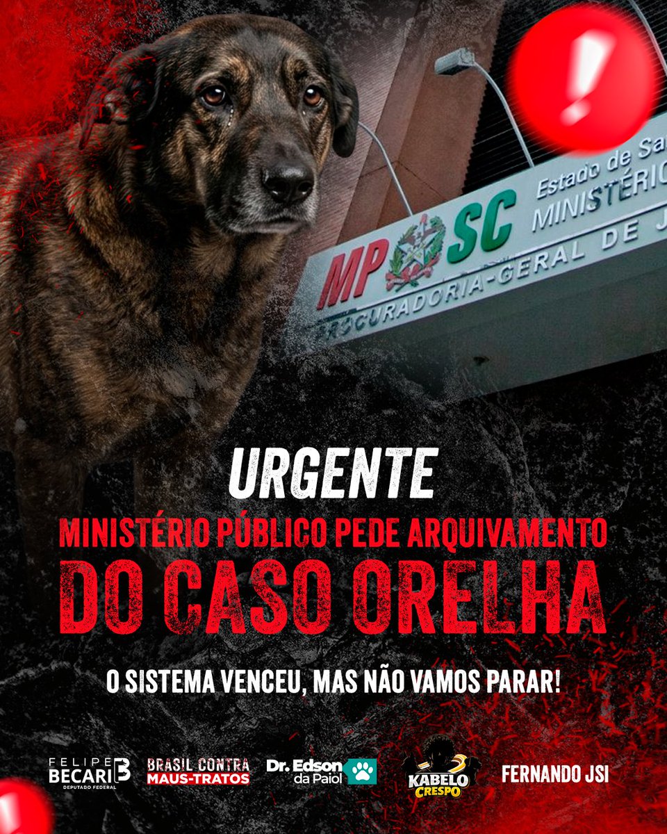 Felipe Becari tweet media