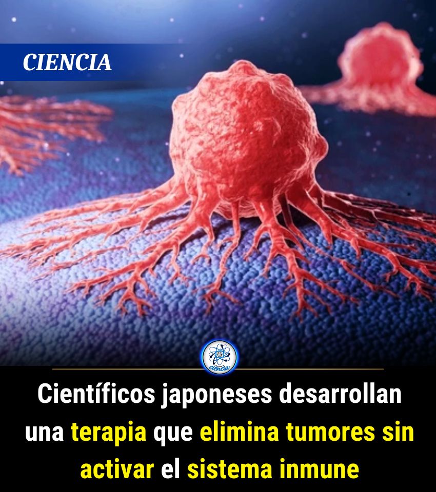 Enséñame de Ciencia tweet media