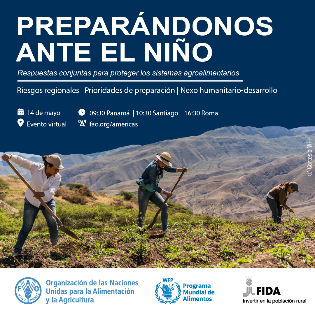 FAOAmericas's tweet photo. ⚠️ Sequías, inundaciones y olas de calor podrían intensificarse con #ElNiño.

Súmate a la conversación regional sobre preparación y resiliencia de @FAOAmericas, @FIDA_LAC y @WFP.

📅 14 de mayo
🕒 10:30 Chile 🇨🇱 - 09:30 Panamá 🇵🇦

Sigue la transmisión🔴📲 https://t.co/Ao680rr5LX https://t.co/B3ZKyhdlHI