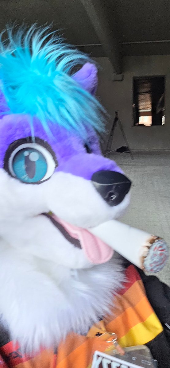 Breezy Paws (🔜AO) tweet media