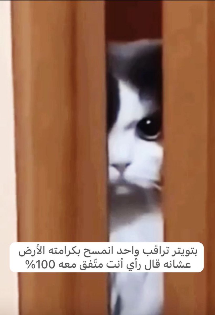 ظلال الأدب (حواء) tweet media